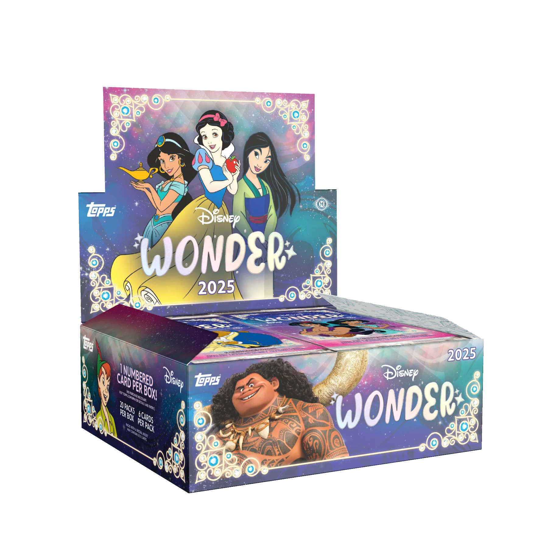 2025 Disney Wonder - Hobby Box